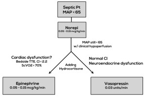 Suggested starting point for vasoactives & inotropes for the patient with septic shock. [JCG]