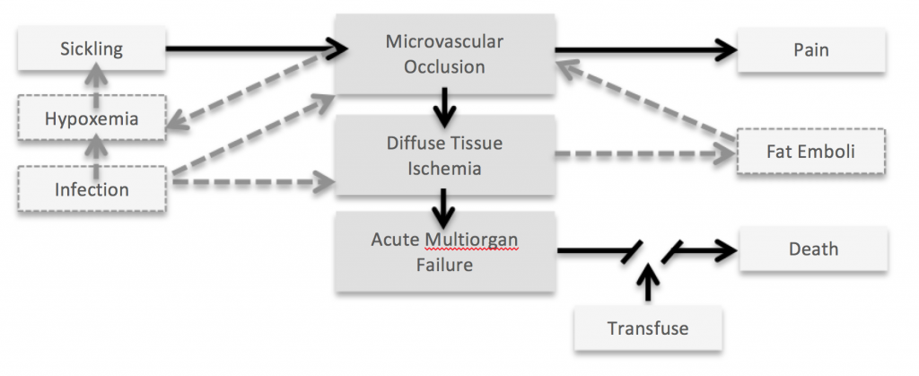 Adapted from Hassell, 1994.